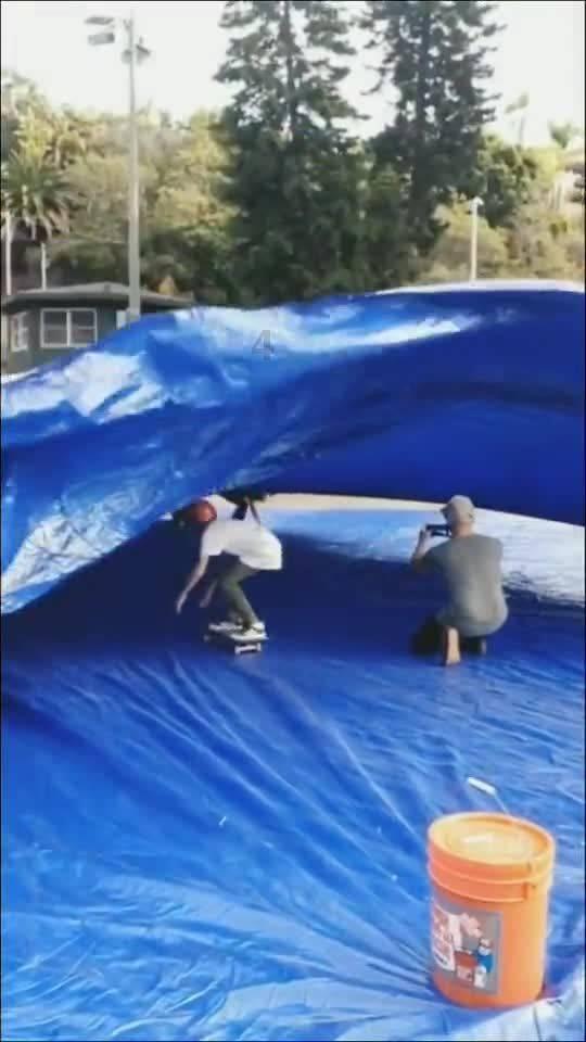 小猫钓鱼游戏龙王版有船